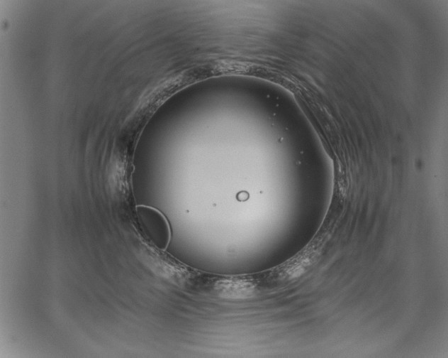 X0000067910714200604131343