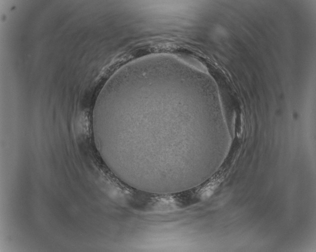 X0000067910715200604131343