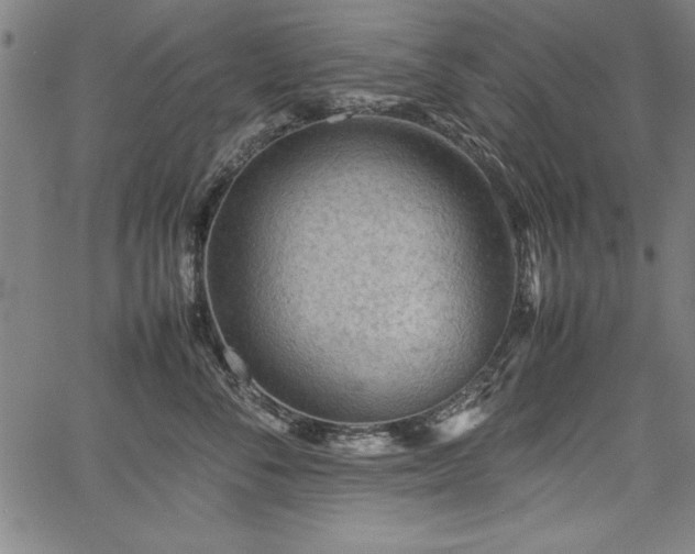 X0000067910716200604131343