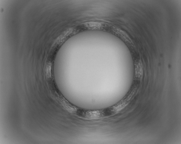 X0000067910717200604131343