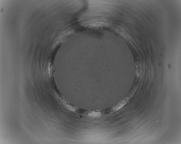 X0000067910718200604131343