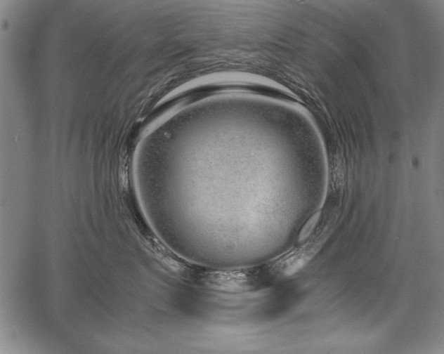 X0000067910719200604131343