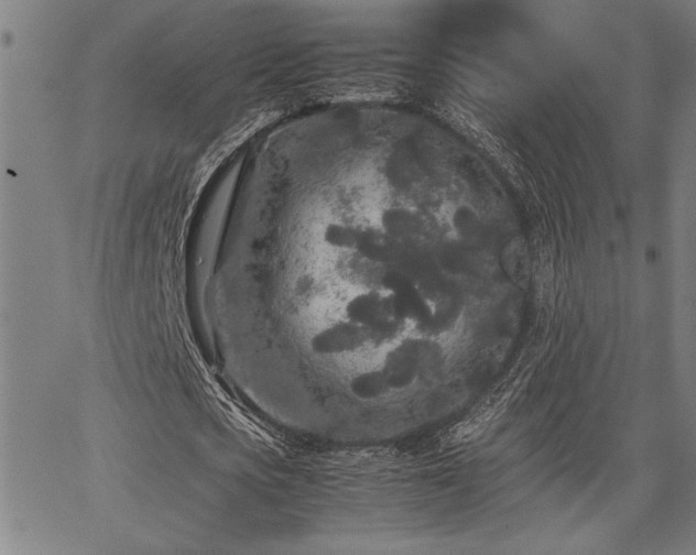 X0000067910721200604131342