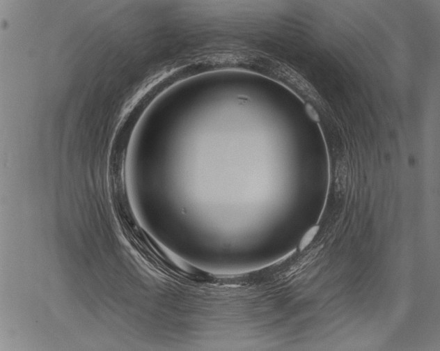 X0000067910722200604131342