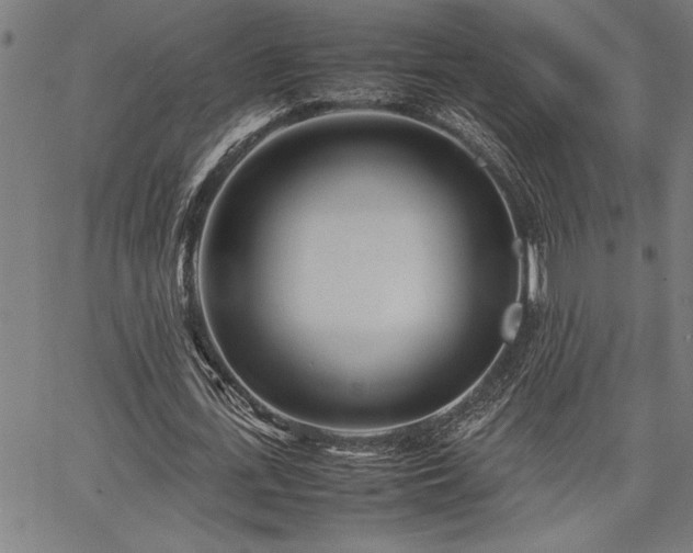 X0000067910723200604131342