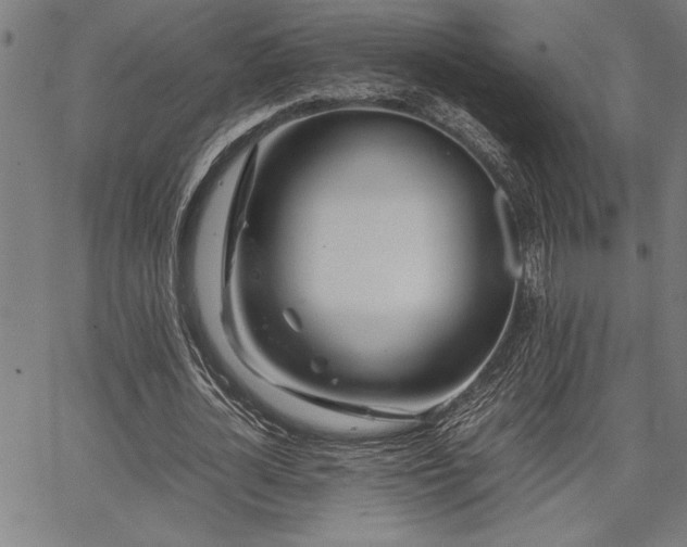 X0000067910724200604131342