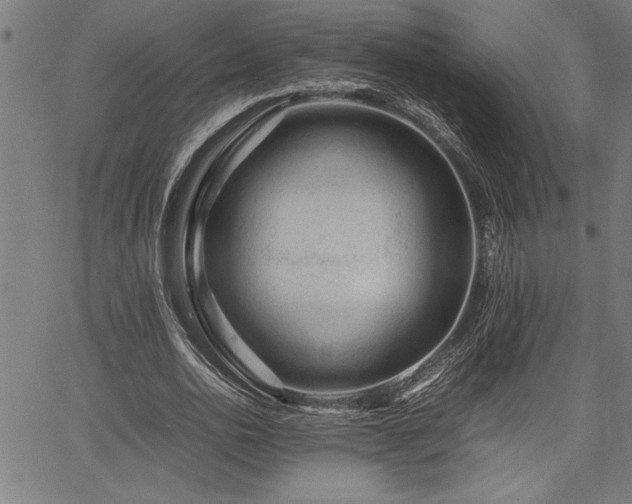 X0000067910726200604131343