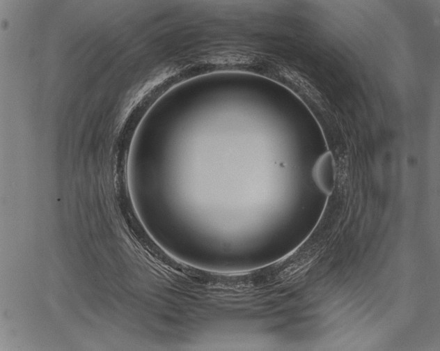 X0000067910727200604131343