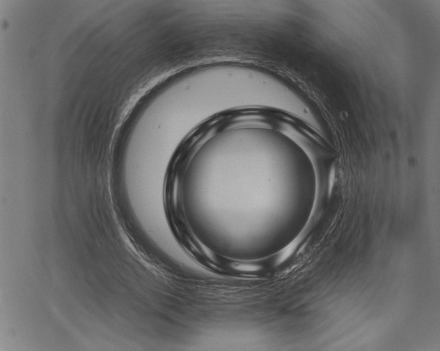 X0000067910728200604131343