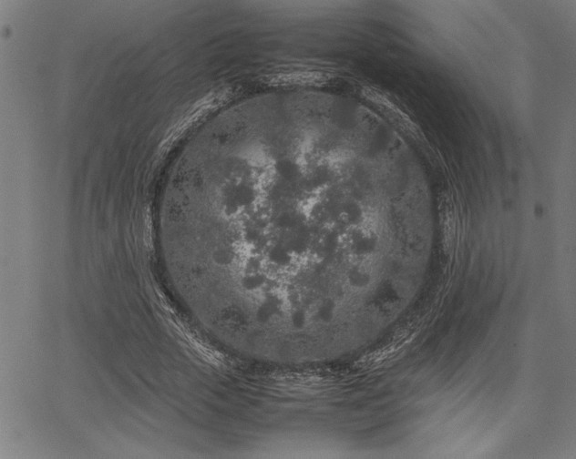 X0000067910729200604131343