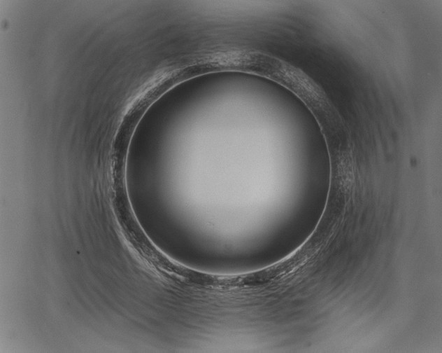 X0000067910730200604131343