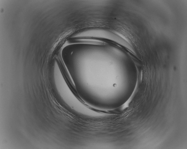 X0000067910731200604131343