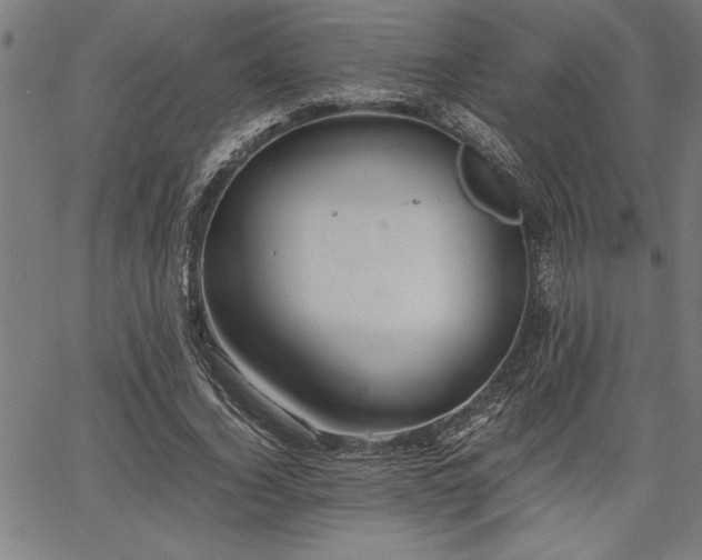 X0000067910732200604131343