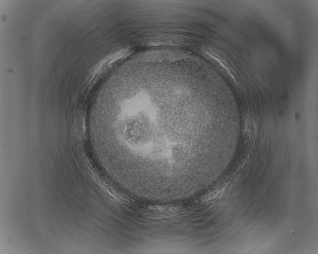 X0000067910733200604131343