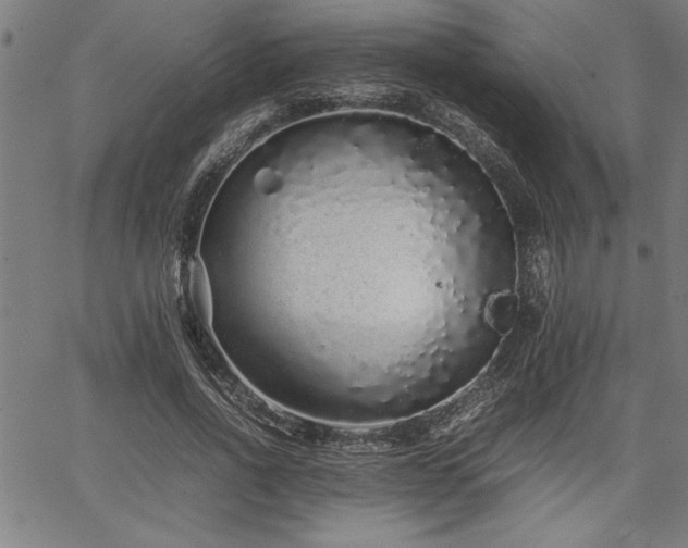 X0000067910734200604131343