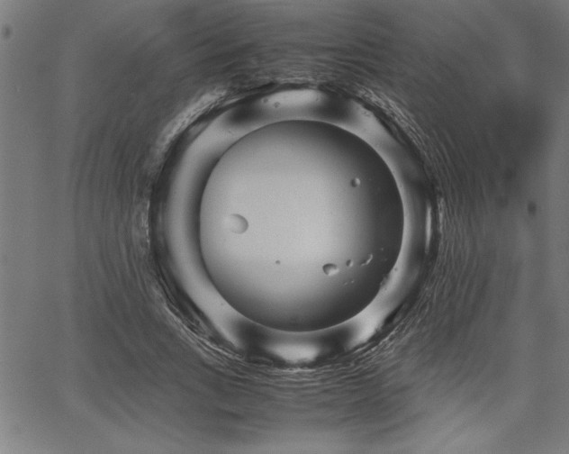 X0000067910735200604131343