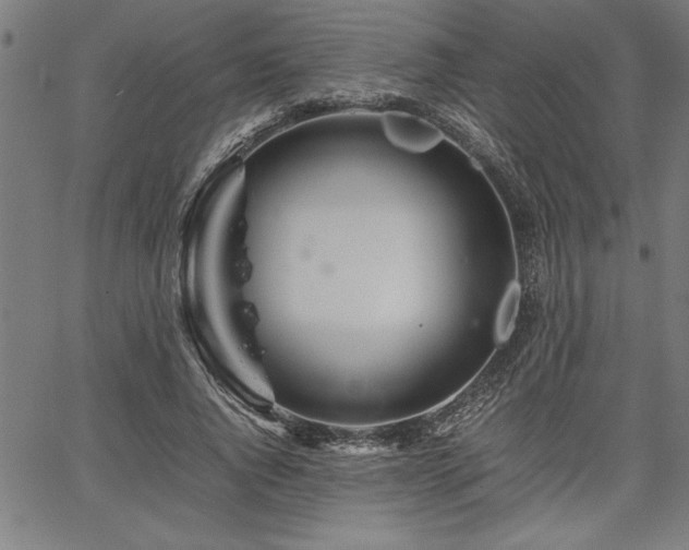 X0000067910736200604131343