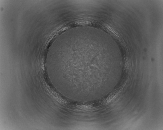 X0000067910737200604131343