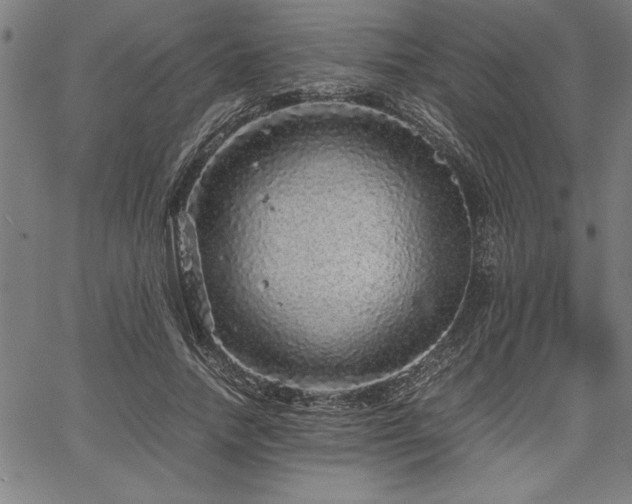 X0000067910738200604131343