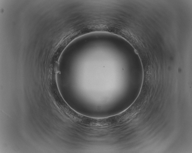 X0000067910739200604131343