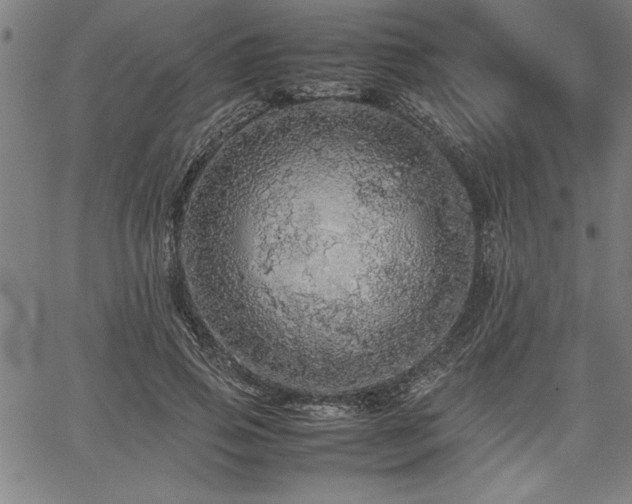 X0000067910741200604131343