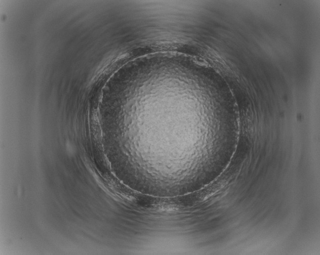 X0000067910742200604131343