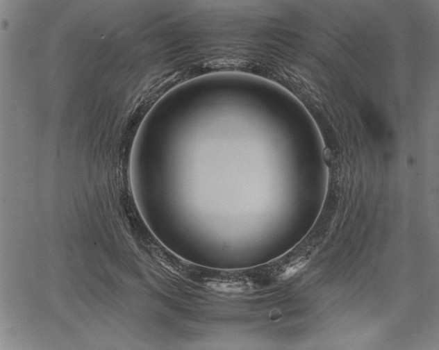 X0000067910743200604131343