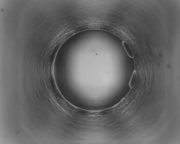 X0000067910744200604131343