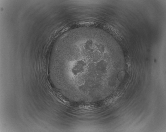 X0000067910745200604131343