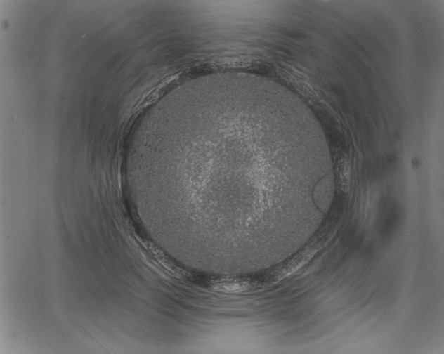 X0000067910746200604131343