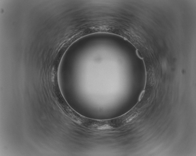 X0000067910747200604131343