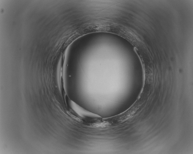 X0000067910748200604131343