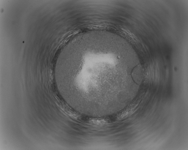 X0000067910749200604131343