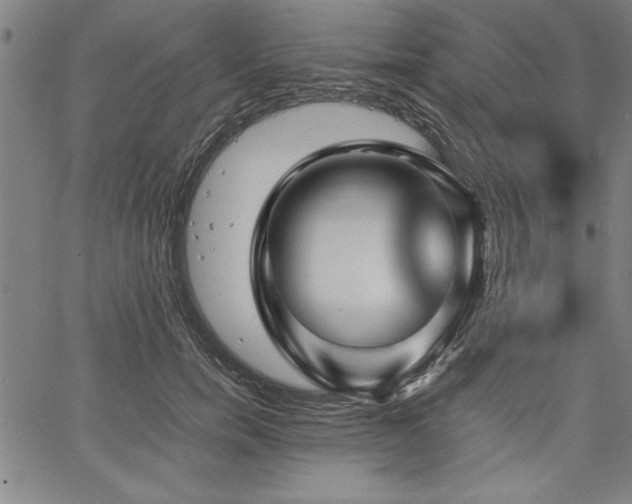 X0000067910750200604131343