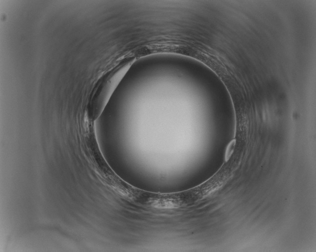 X0000067910751200604131343