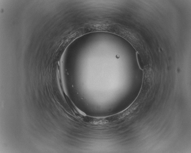 X0000067910752200604131343