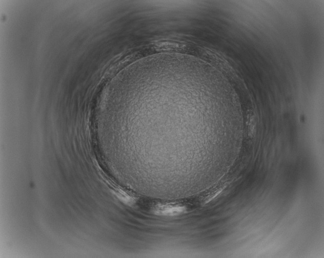 X0000067910753200604131343