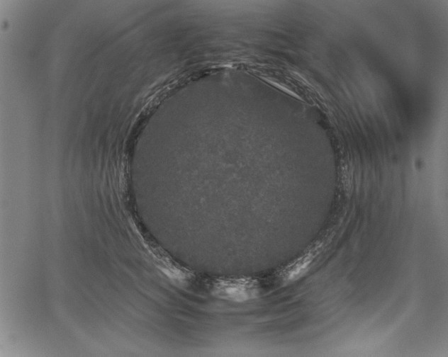 X0000067910757200604131343