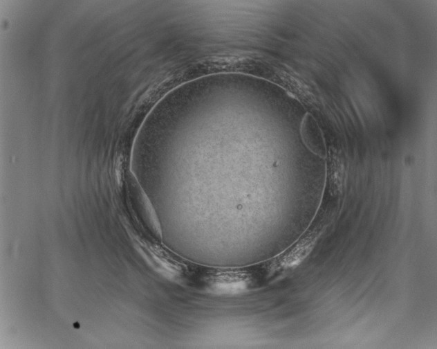 X0000067910758200604131343