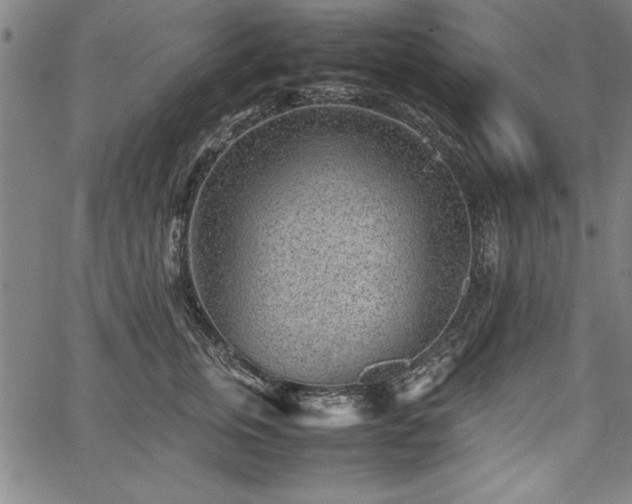 X0000067910759200604131343