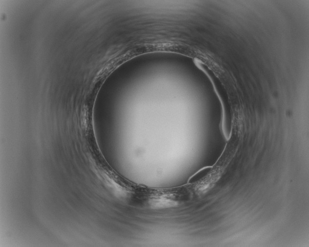 X0000067910760200604131343