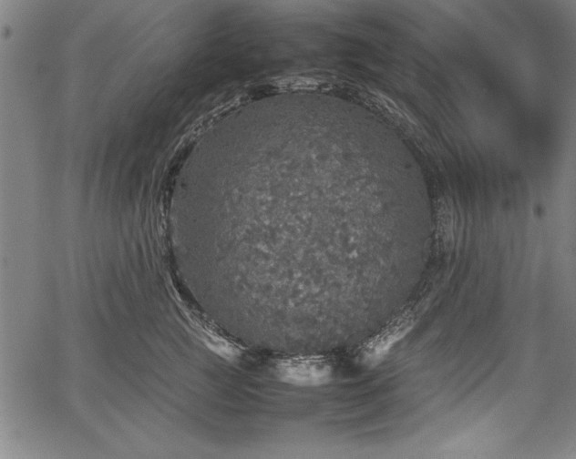 X0000067910761200604131343