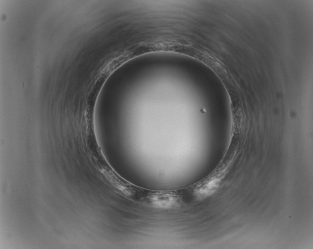 X0000067910762200604131343