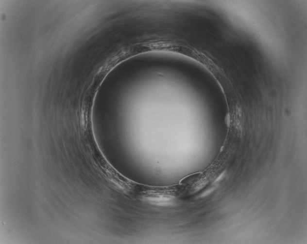 X0000067910763200604131343