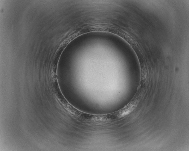 X0000067910764200604131343