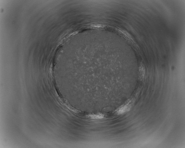 X0000067910765200604131343