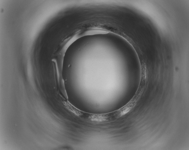 X0000067910766200604131343