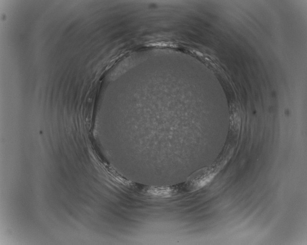 X0000067910767200604131343