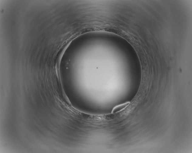 X0000067910768200604131343