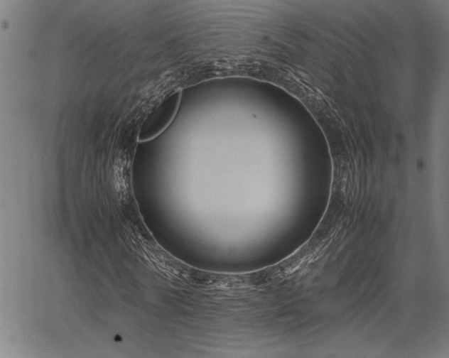 X0000067910770200604131342